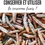 Comment Choisir Conserver Et Utiliser Le Curcuma Frais En Cuisine